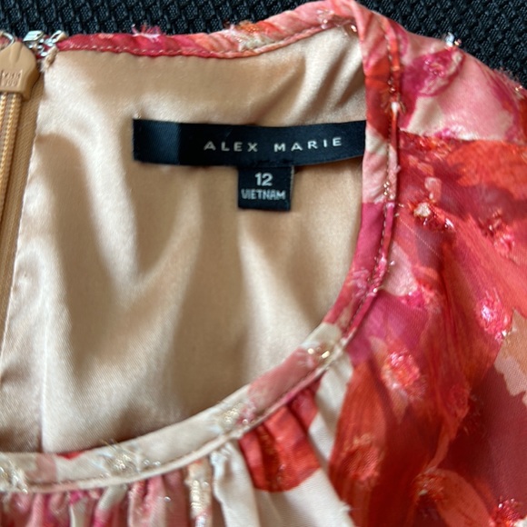 Alex Marie dress Dillard size 12 - Picture 11 of 16